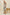 PRIMROSE-IVORY-JET-GINGHAM-FRONT STYLIZED
