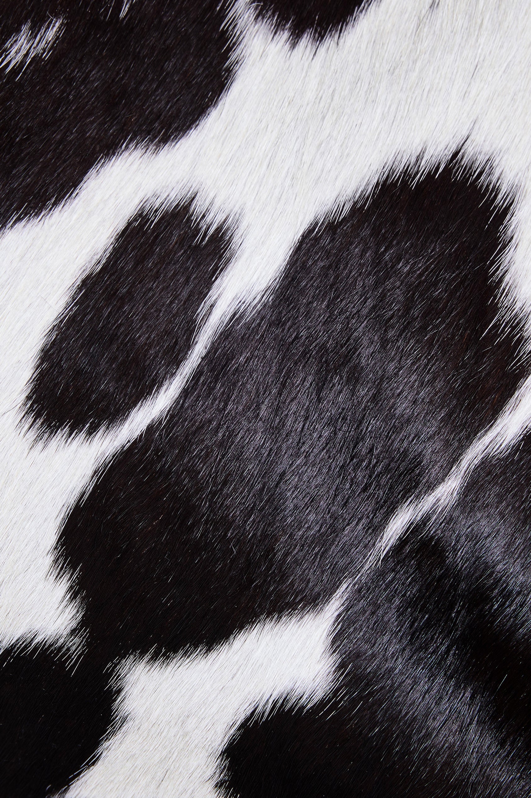 The Torino is a cow-print haircalf leather bucket bag, designed with an adjustable strap and polished silver oval buckle. Detail view of cow haircalf featured.