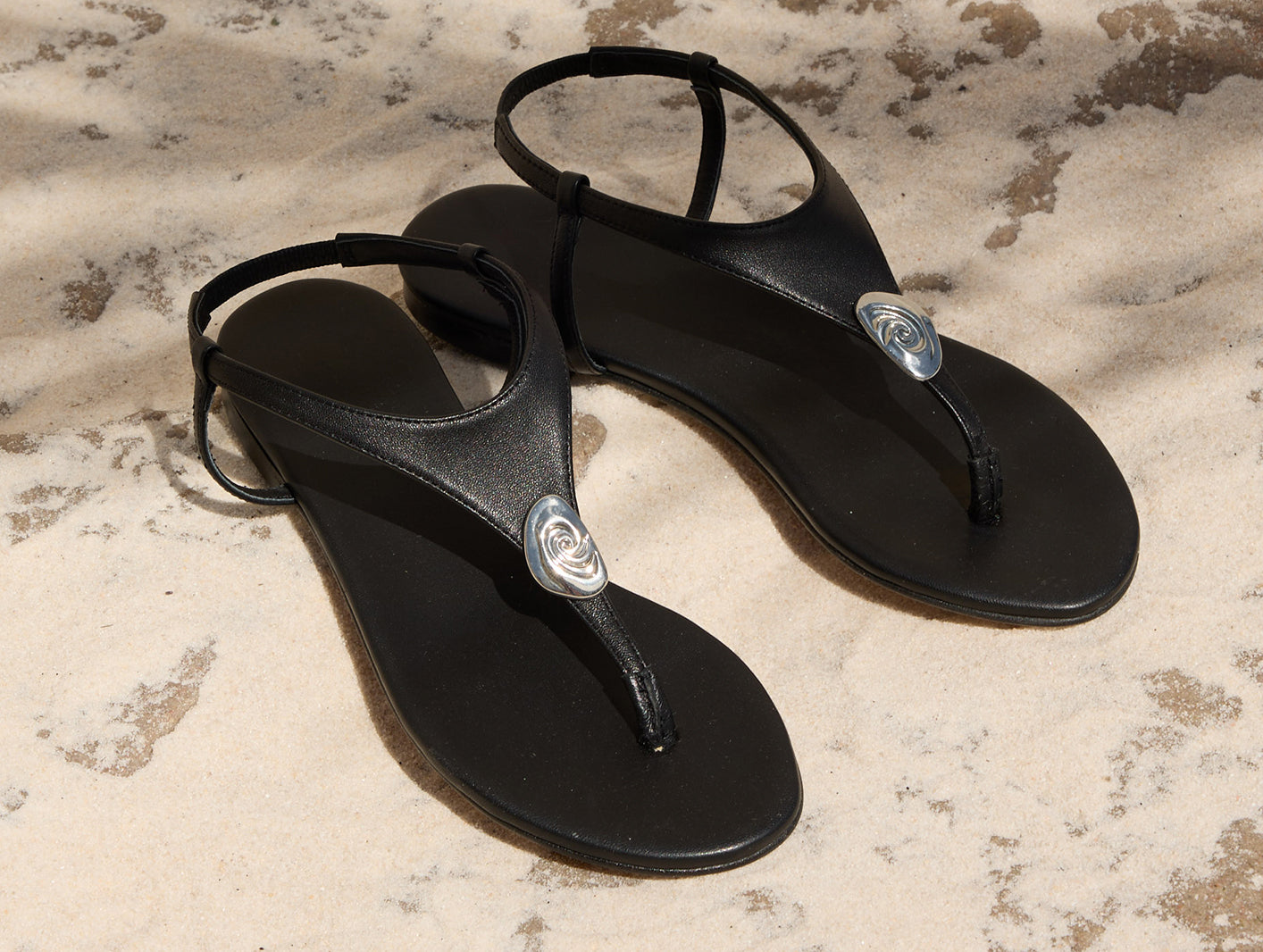 <span class="GT_light_italic">Shore</span> Things