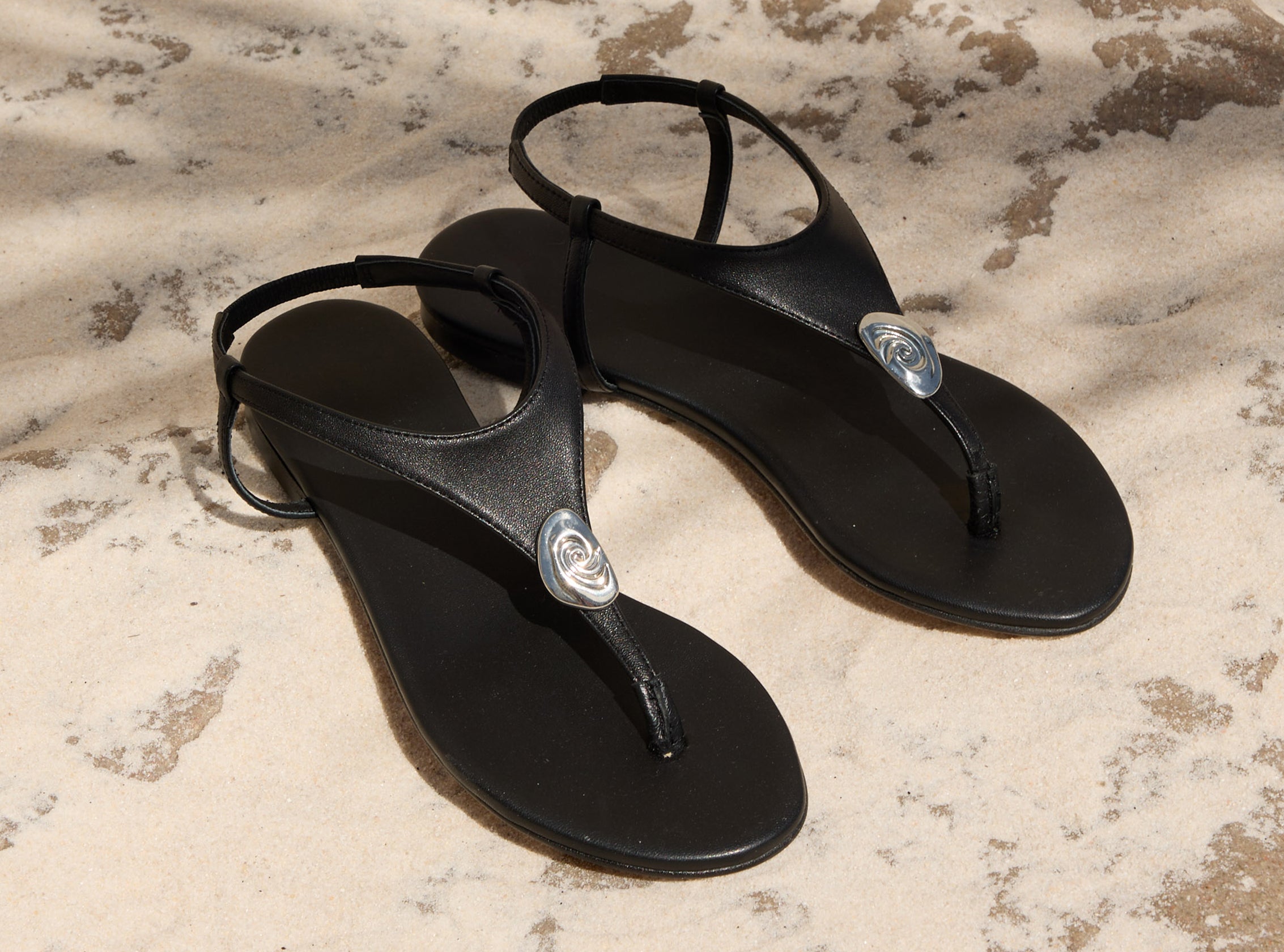 <span class="GT_light_italic">Shore</span> Things