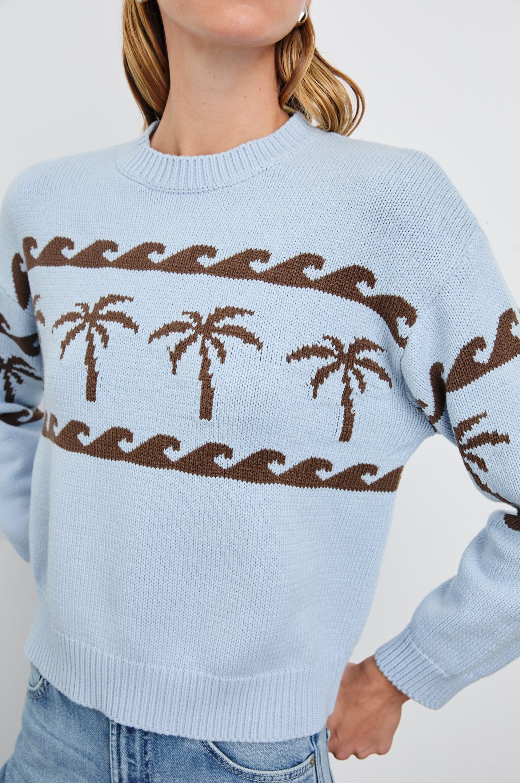 Zoey Long-Sleeve Sweater with Crewneck and Ribbed Trims in Palm Stripe Colorway, a row of brown palm trees bordered by waves on blue  - Front View Featured on Model